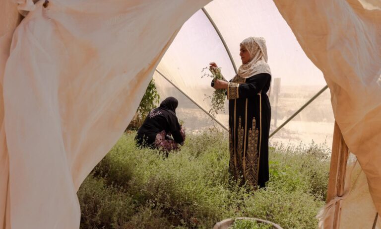 d6b594c6 1247 408a 8c3e 33e1db0eb735 e1734439640277