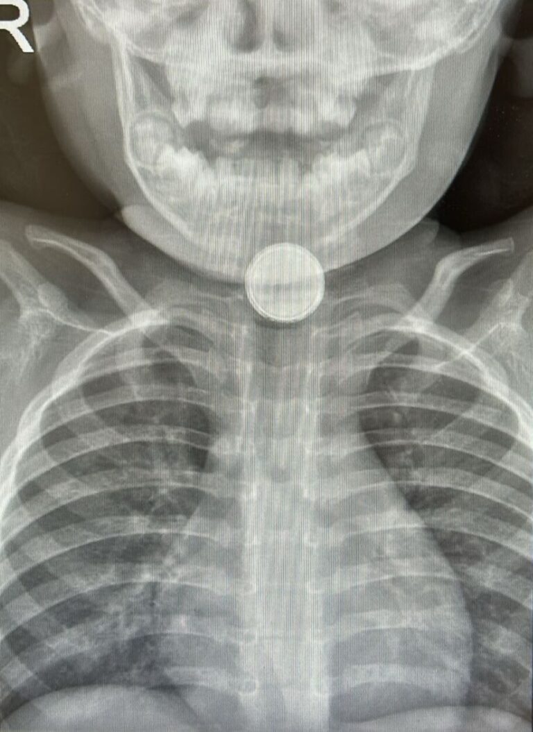 WhatsApp Image 2025 04 23 at 10.22.00