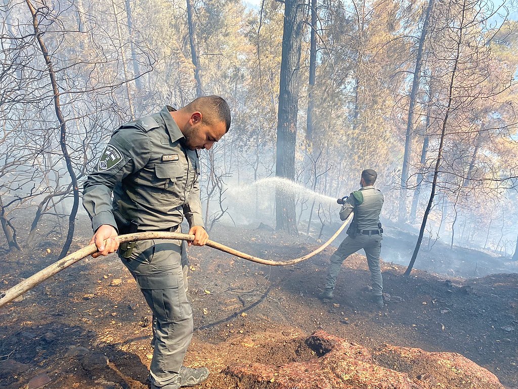 حرائق القدس: لماذا تتمنى شركات التأمين أن يكون السبب "عملًا إرهابيًا"؟ 3 1024px Israel Border Police in 2021 Israel wildfires August 2021. III