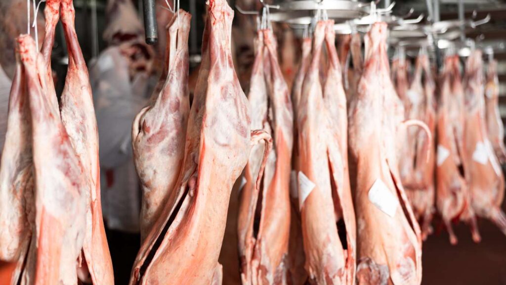 من بينها الهجمات اليمنية: هذه أسباب ارتفاع أسعار اللحوم في البلاد قبل عيد الأضحى 3 lamp