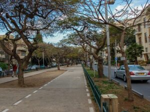 مسار للدراجات في شارع روتشيلد في تل أبيب، الصورة: ويكيميديا