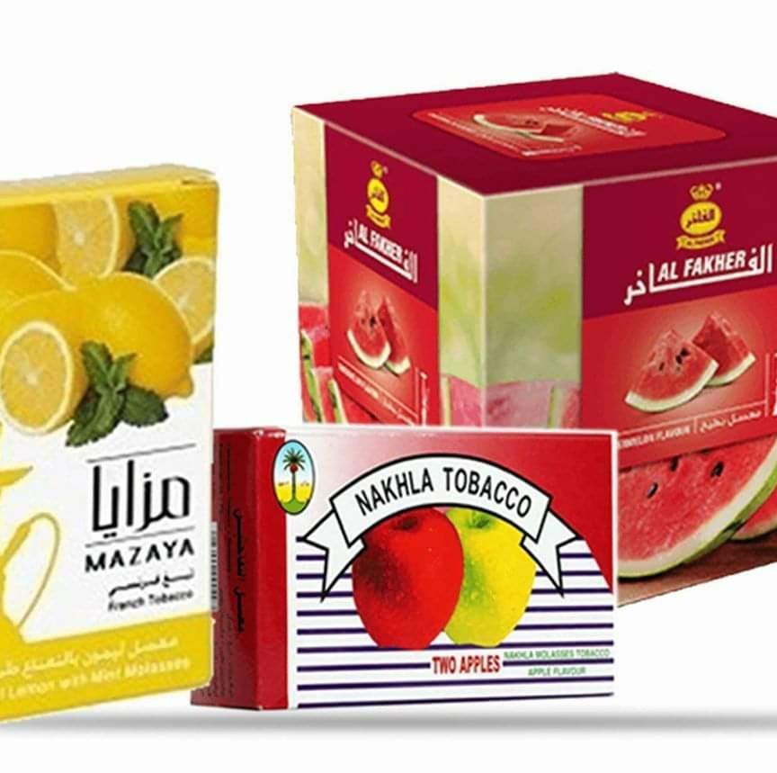 300183780 502516205208519 4962501477860219236 n