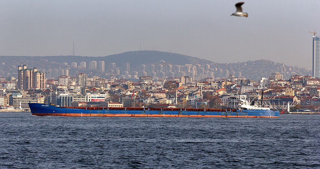 سفينة شحن في مضيق البوسفور، المصدر: ويكيميديا