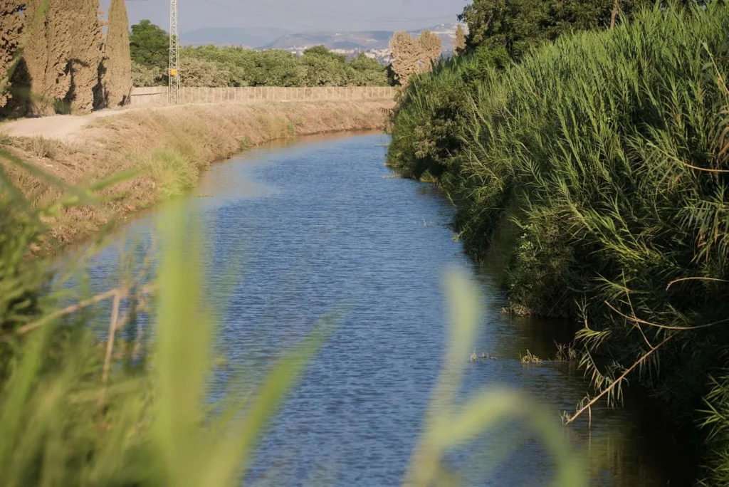 نهر اسكندر. جرى استثمار جهود ترميم كثيرة في السنوات الأخيرة