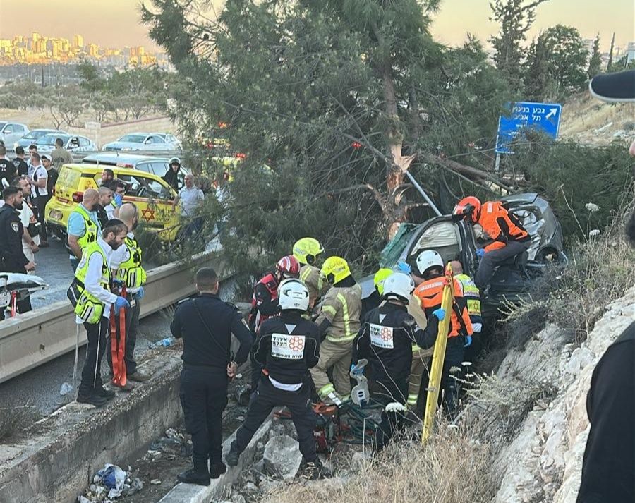 501529892 10162836933434321 6936396078165990699 n