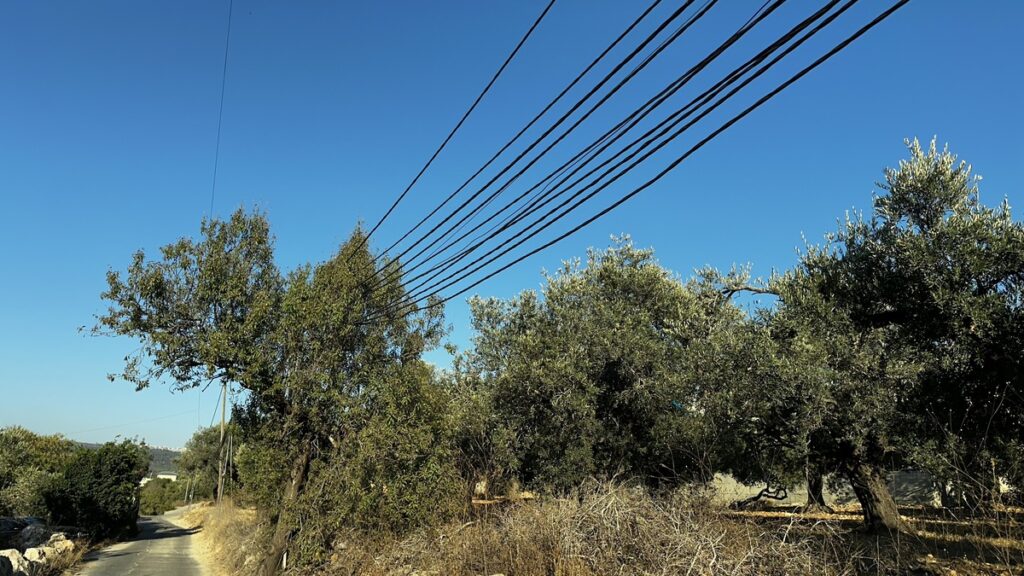 68934107261ecfe0a11d9114 ירכא 1