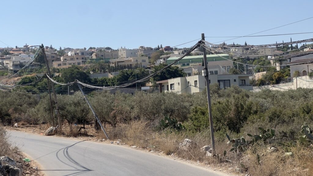 6893414daa7ce6b0ef9191e7 בין ירכא לאבו סנאן