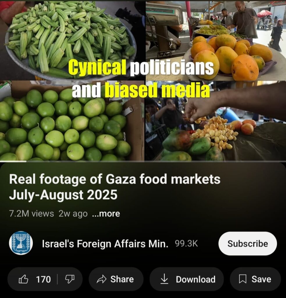 فيديو ممول على يوتيوب لوزارة الخارجة الإسرائيلية حاصل على 7 مليون مشاهدة وعدد قليل من الإعجابات  ينفي المجاعة بغزة، صورة توضيحية