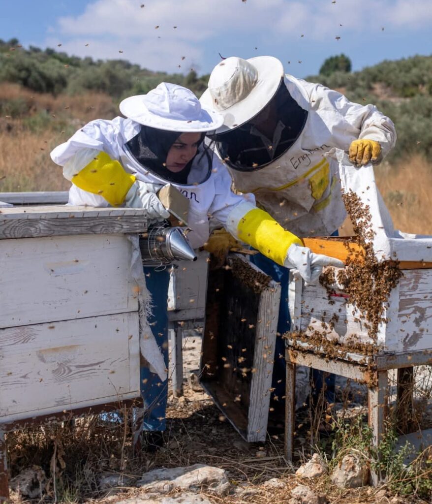 "شهد العسل": من هندسة الحاسوب إلى هندسة خلايا النحل 5 mceu 67071516021755086548845 e1758812575596