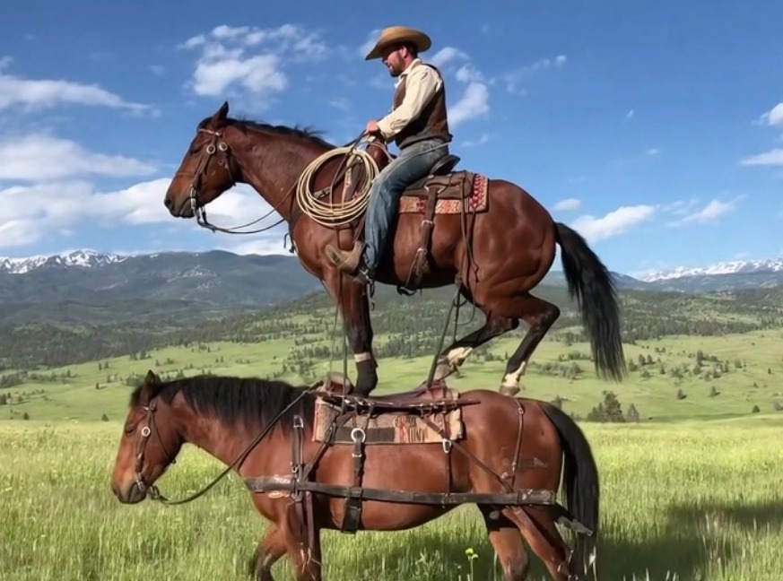 84b83a4a 0c66 48ce a641 3116db0e940e