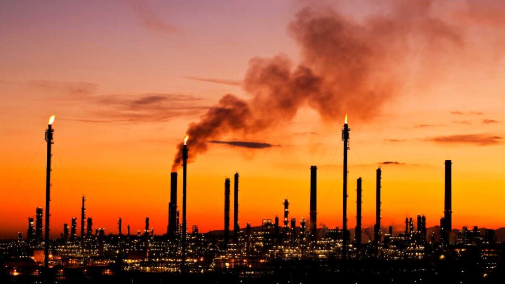 Design for website 5