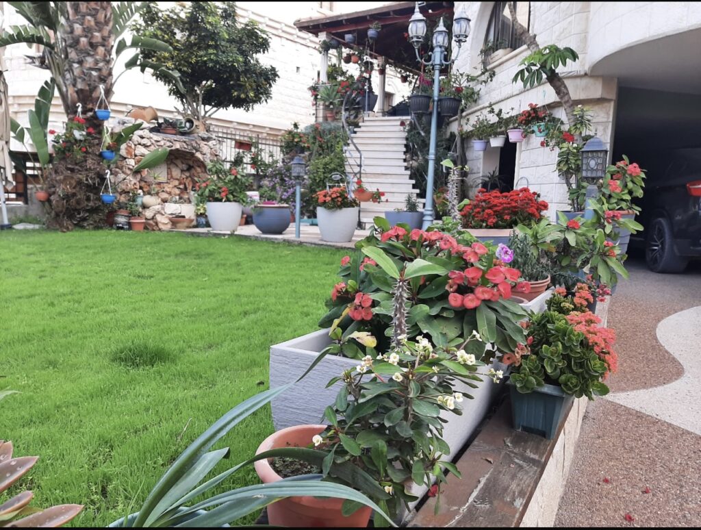 mceu 85844648921758207363617