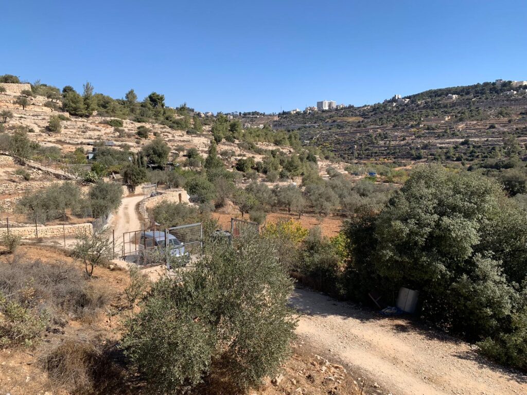 أراضي بشير في المجرور تصير رحمة علي