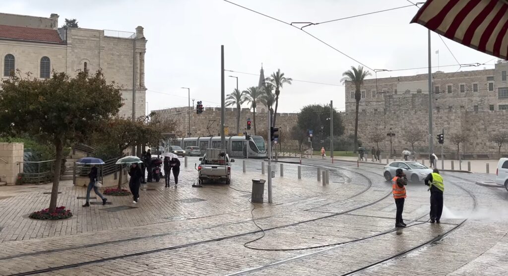 من التغيّب عن العمل إلى سقوط الأشجار: من يعوضكم عن أضرار العاصفة بايرون؟ 1 1 1