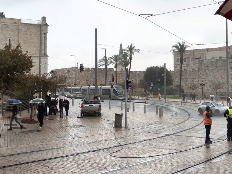 من التغيّب عن العمل إلى سقوط الأشجار: من يعوضكم عن أضرار العاصفة بايرون؟