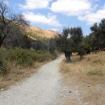 ضريبة الأراضي: لماذا تدعمها وزارة المالية وتعارضها وزارة الإسكان؟