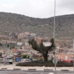 رفع الأرنونا: كل ما يجب معرفته عن المطالبات الجديدة للسلطات المحلية.. وهل بلدتك ضمن المطالبين؟