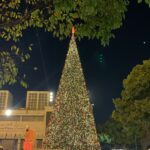 في غياب السياحة الأجنبية: بيت لحم تراهن على فلسطينيي الداخل لإنعاش اقتصادها المُنهك