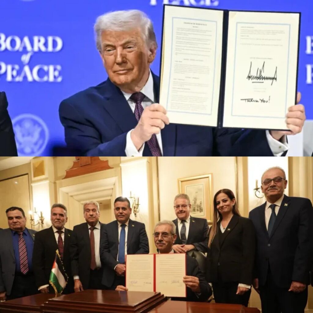 616387399 1332729258892993 7969909109304039550 n