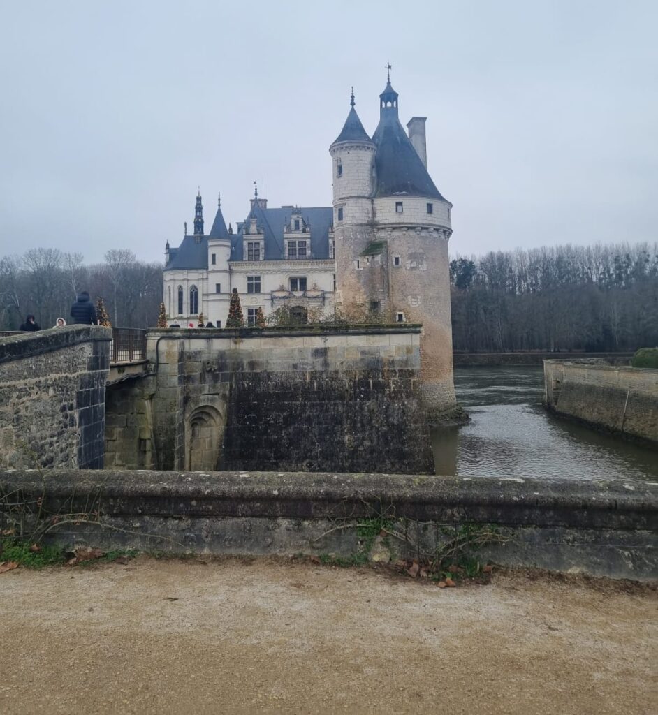 "بطلعلكو بيت؟ بتوخدو مساعدات من الدولة؟ طب الشغل مضمون؟" 9 WhatsApp Image 2026 01 11 at 17.25.14 e1768221416163