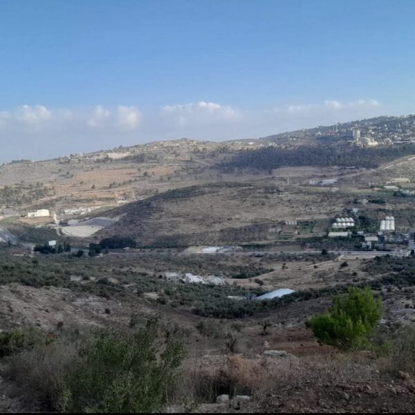 مصادرة ناعمة؟ قانون الأراضي الجديد يُهدِّد بفقدان العرب أراضيهم