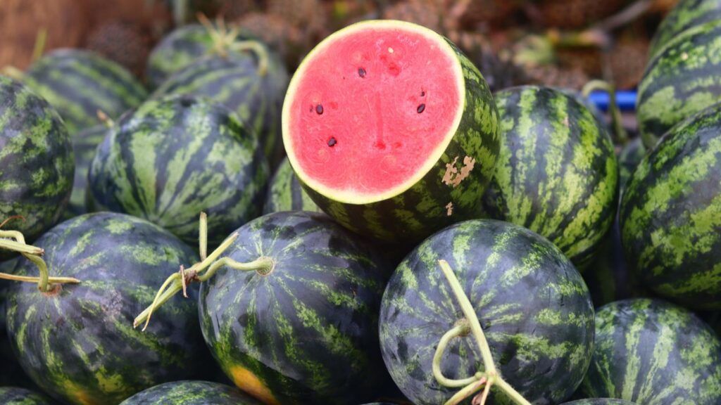 watermelon